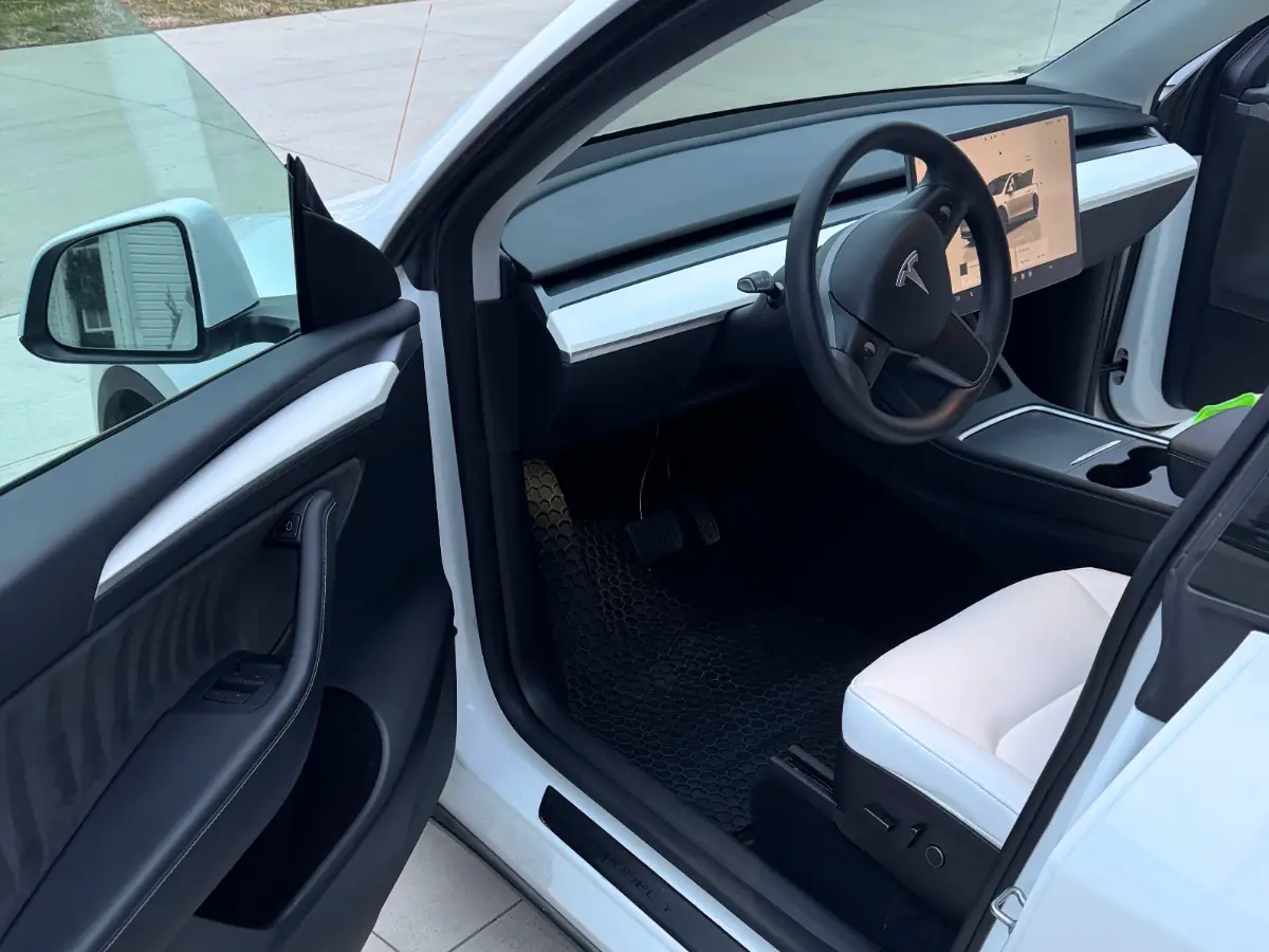 Tesla white interior fully detailed - pristine clean result