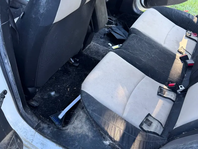 Rear cloth seats before cleaning - pet hair and stains embedded in fabric